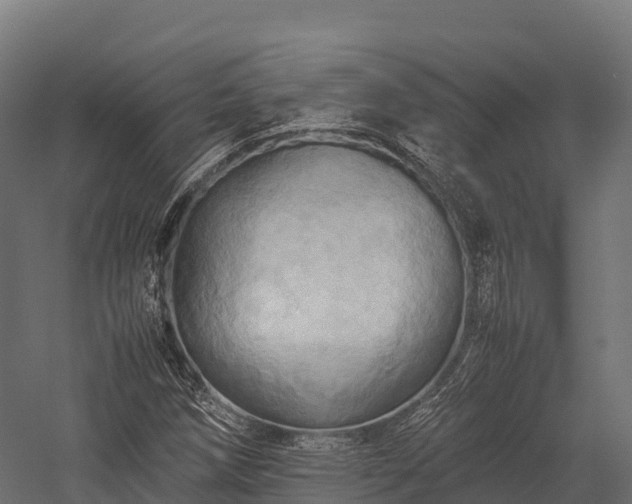 X0000057581258200509231242