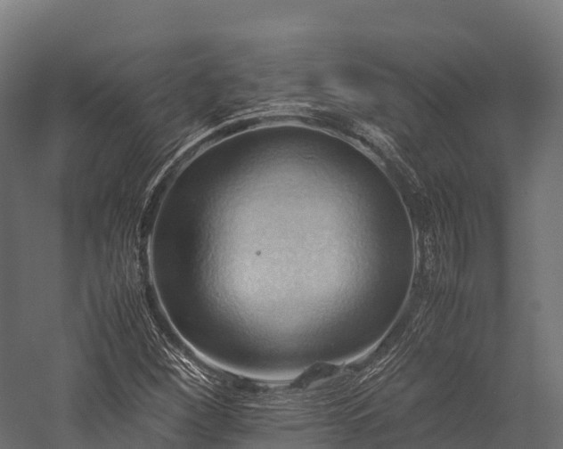 X0000057581260200509231242