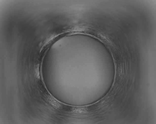 X0000057581262200509231242