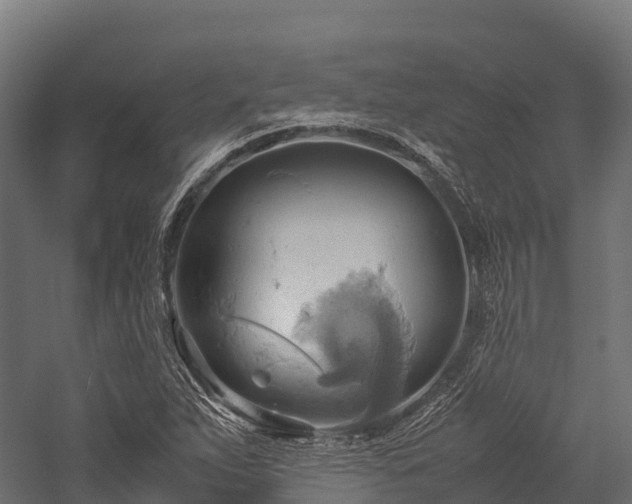 X0000057581263200509231242