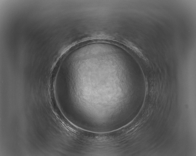 X0000057581264200509231242