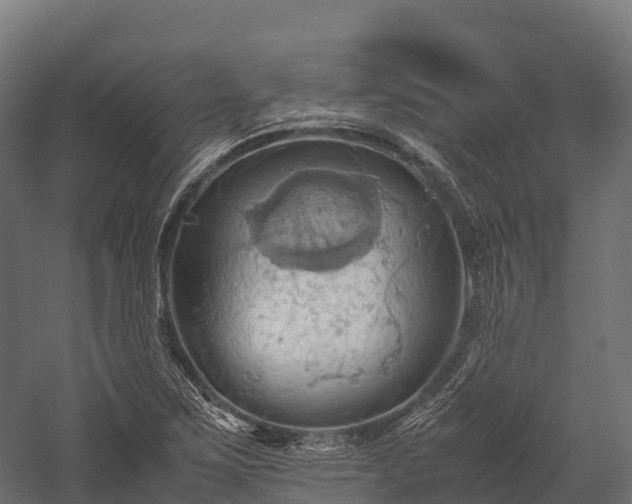 X0000057581267200509231242