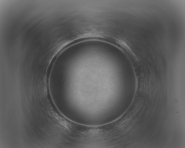 X0000057581268200509231242