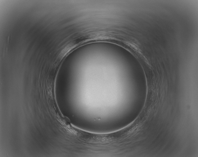 X0000057581273200509231242