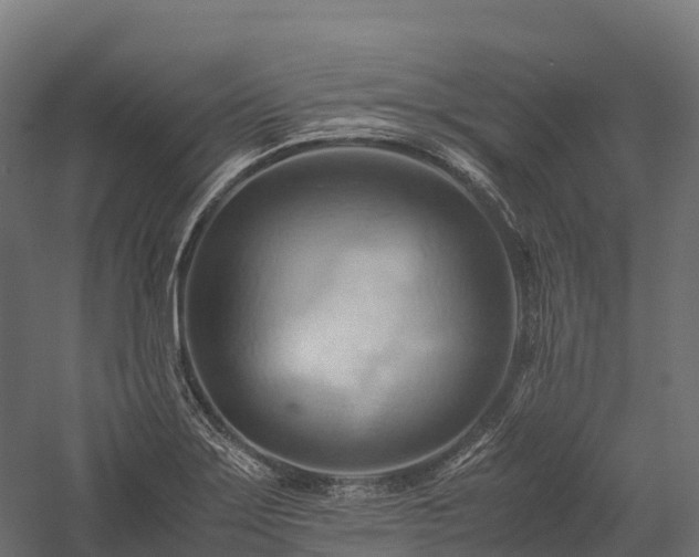 X0000057581275200509231242