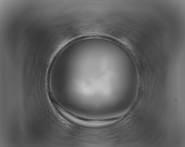 X0000057581279200509231242