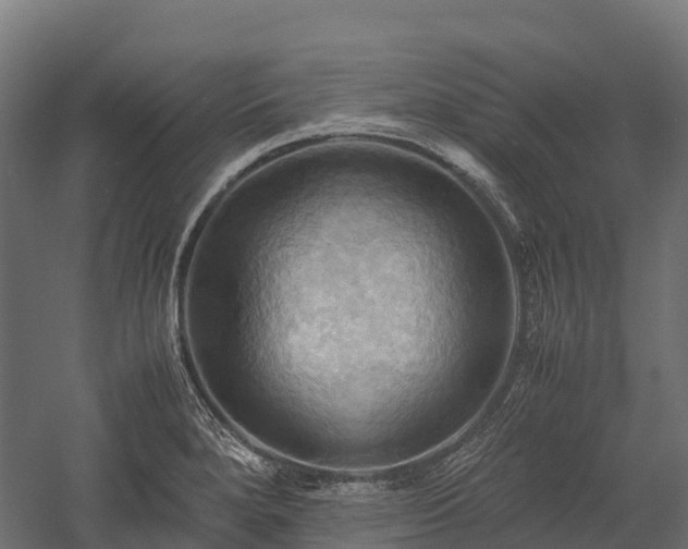 X0000057581280200509231242