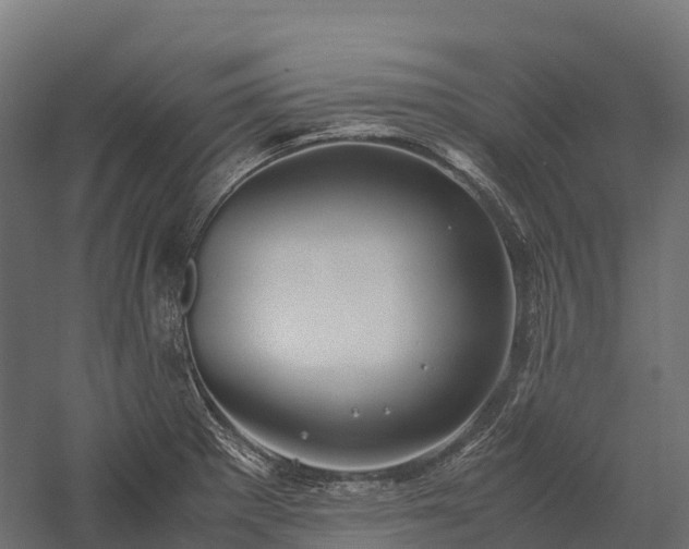 X0000057581281200509231242