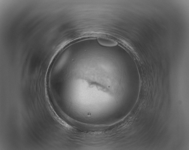 X0000057581283200509231242