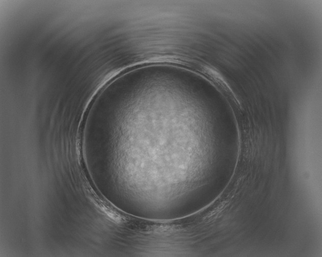 X0000057581284200509231242