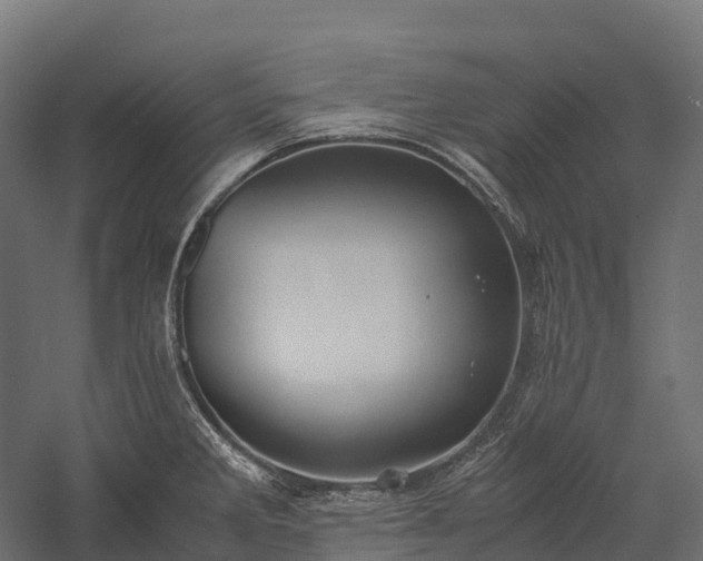 X0000057581285200509231242