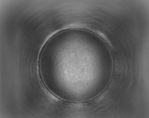 X0000057581288200509231242