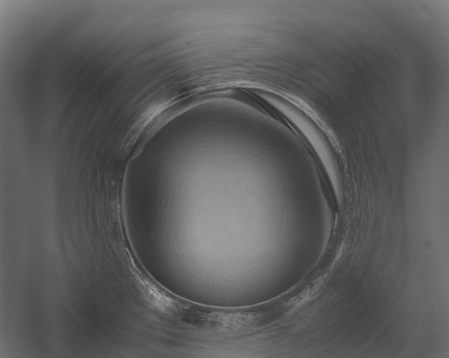 X0000057581289200509231242