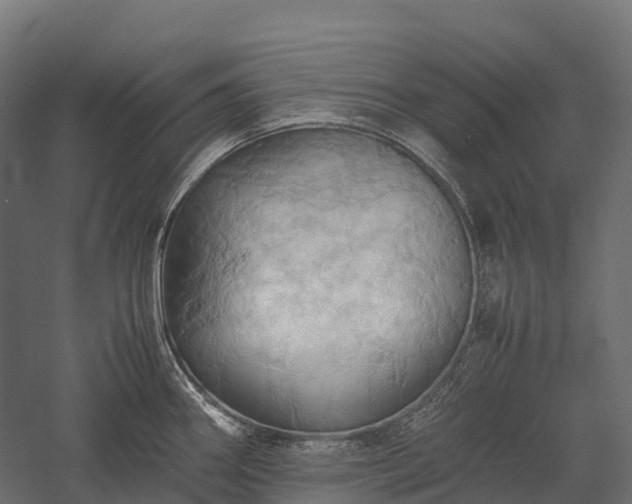 X0000057581290200509231242