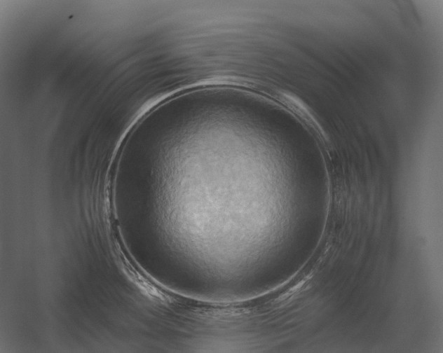 X0000057581292200509231242