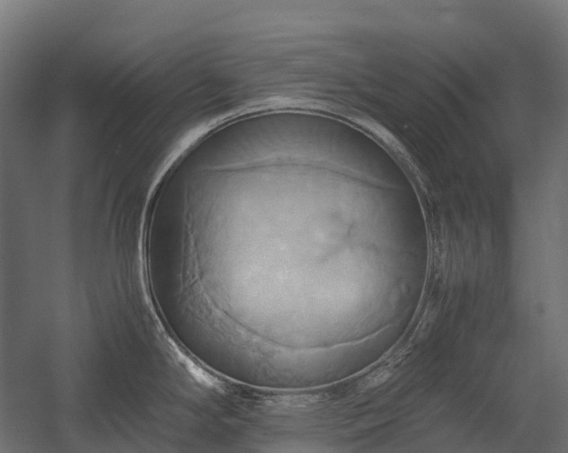 X0000057581294200509231242