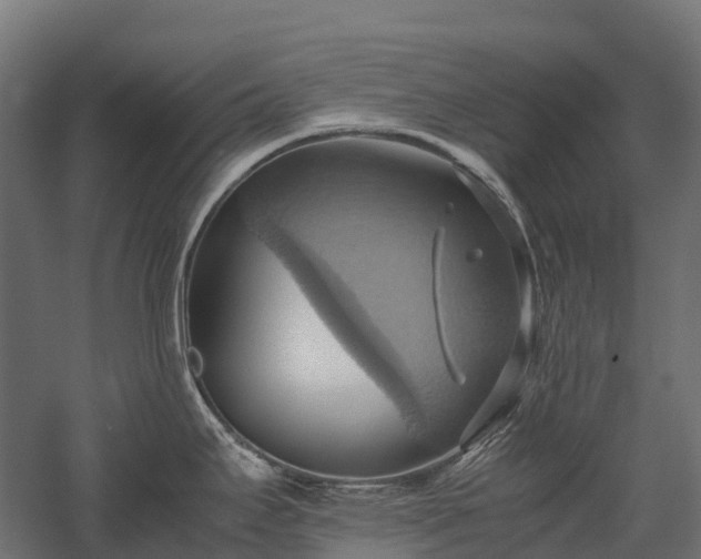 X0000057581295200509231242