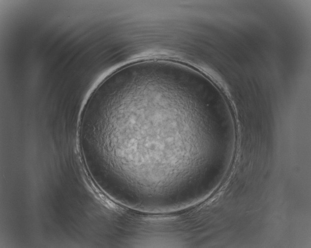 X0000057581296200509231242