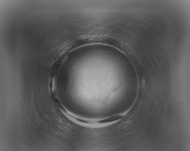 X0000057581300200509231241