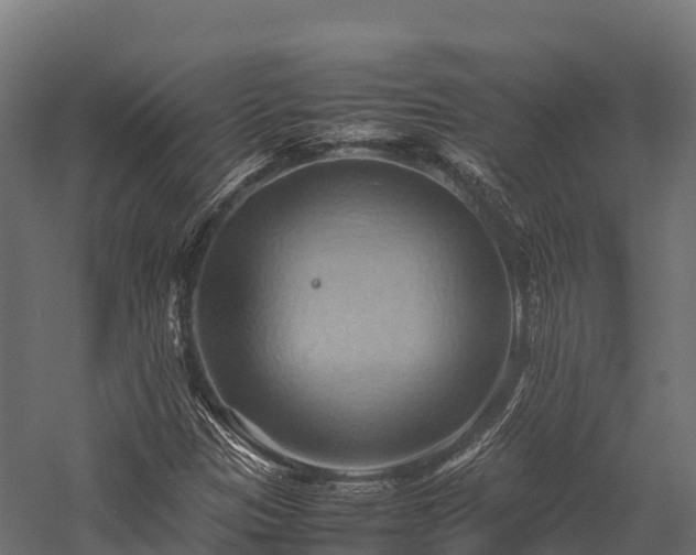 X0000057581305200509231241