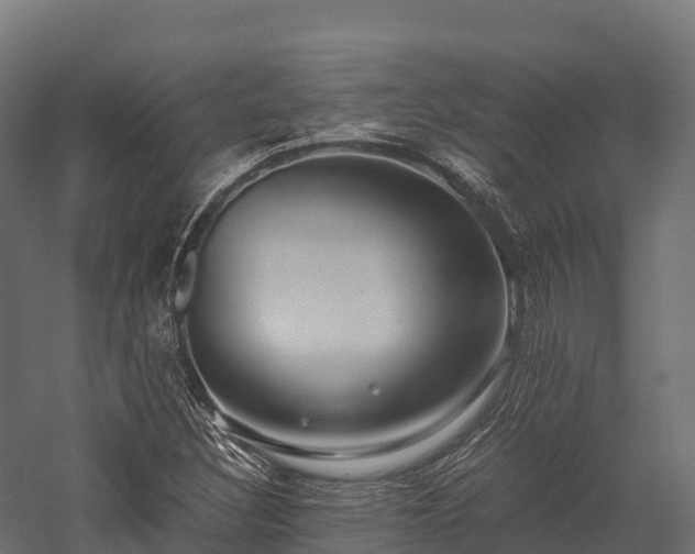 X0000057581308200509231241