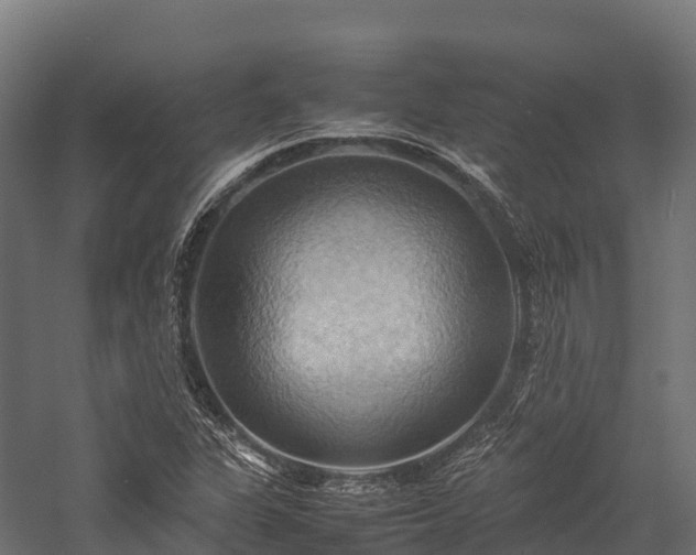 X0000057581311200509231241