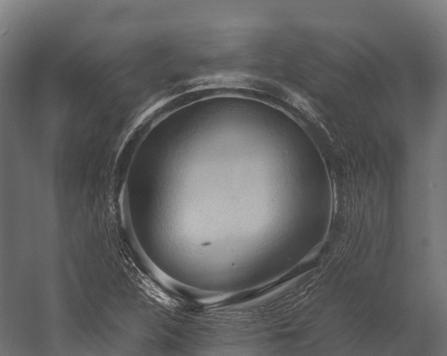 X0000057581312200509231241