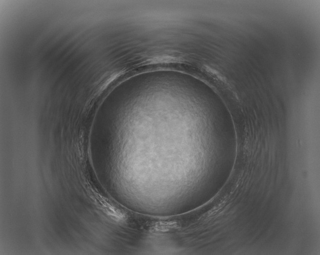 X0000057581313200509231241