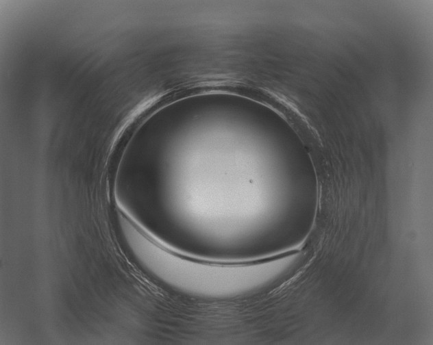 X0000057581317200509231241