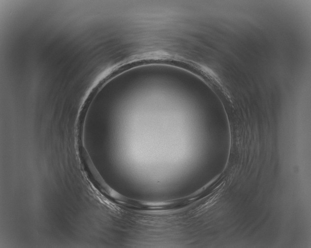 X0000057581326200509231241