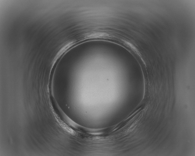 X0000057581330200509231241