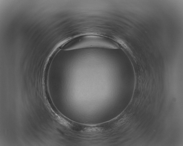 X0000057581331200509231241