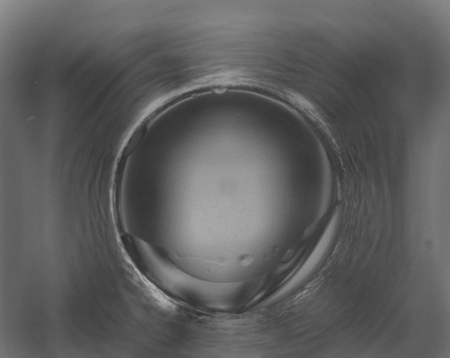 X0000057581334200509231241