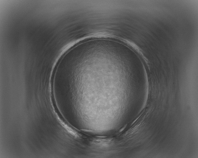 X0000057581335200509231242