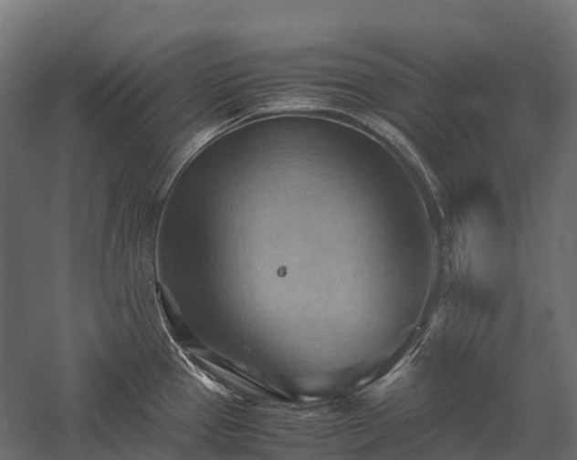 X0000057581337200509231242