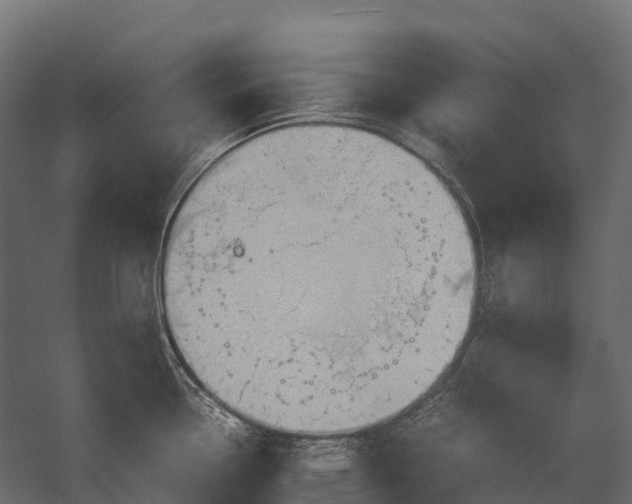 X0000057581338200509231242