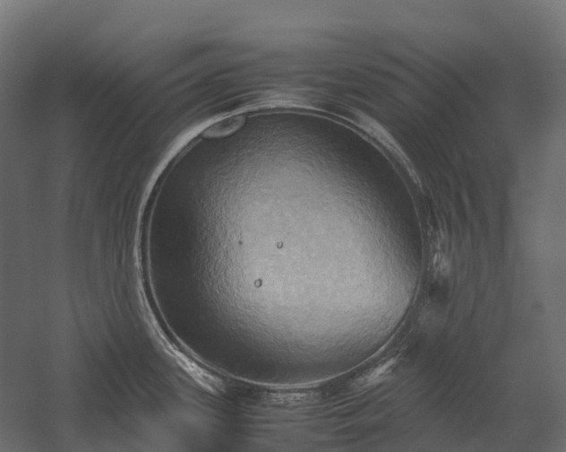 X0000057581339200509231242