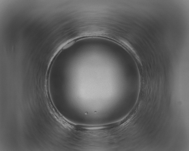 X0000057581340200509231242