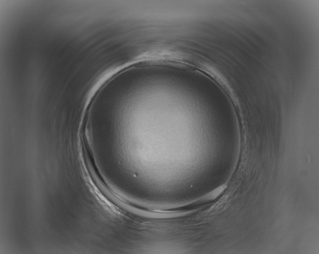 X0000057581344200509231242