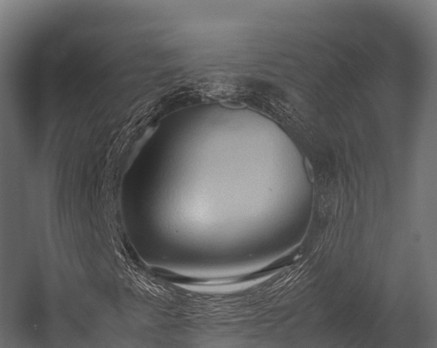 X0000057581345200509231241