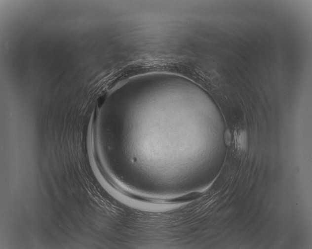 X0000057581348200509231241