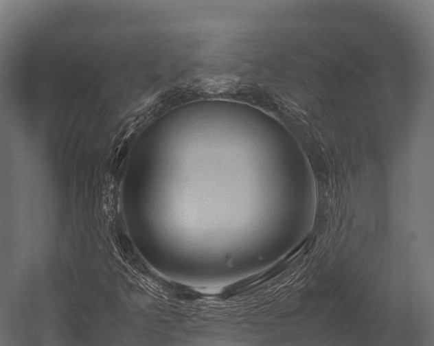 X0000057581349200509231241