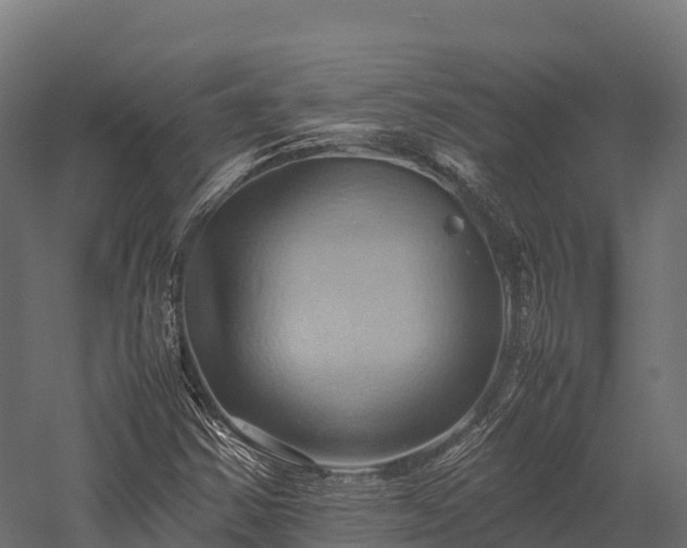 X0000057581354200509231241