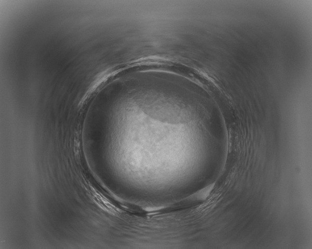 X0000057581355200509231241