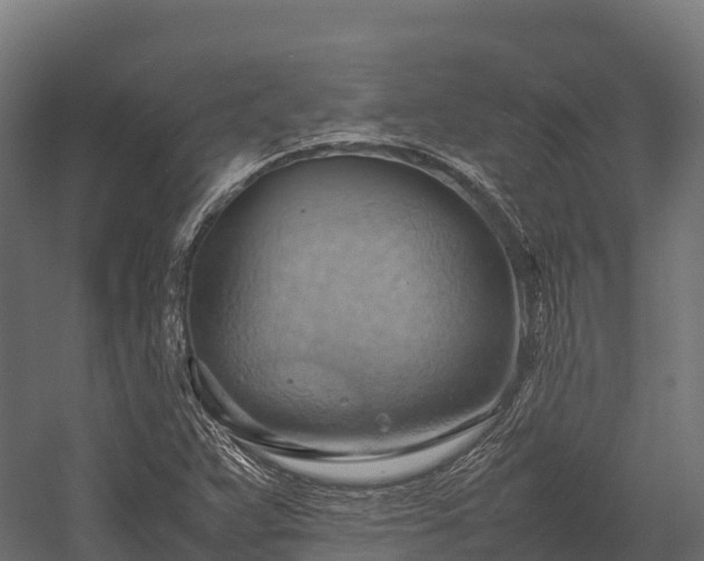 X0000057581359200509231241