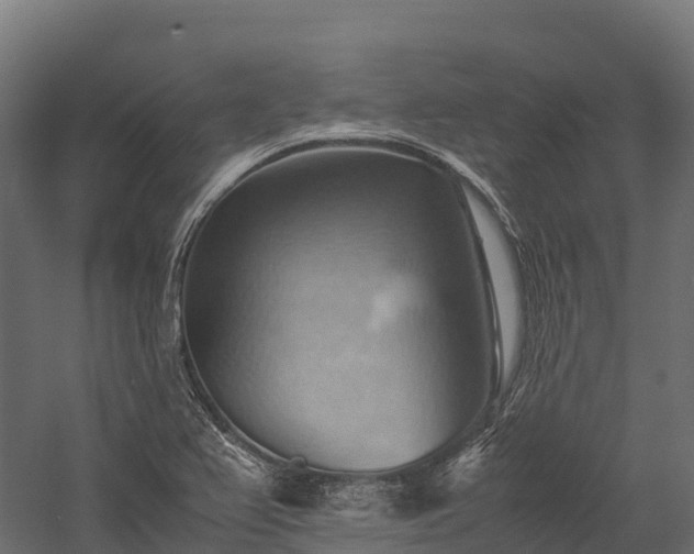 X0000057581367200509231240