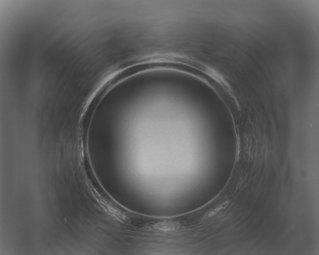 X0000057581368200509231240