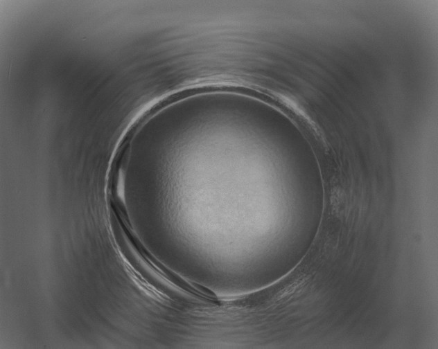 X0000057581372200509231240