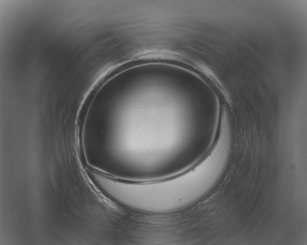 X0000057581376200509231240