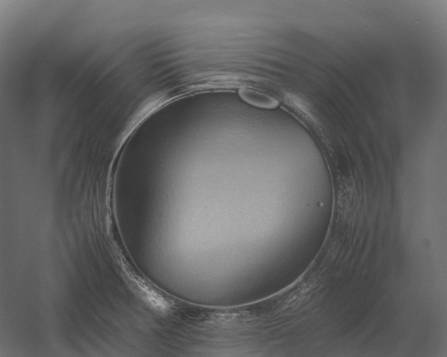 X0000057581378200509231240